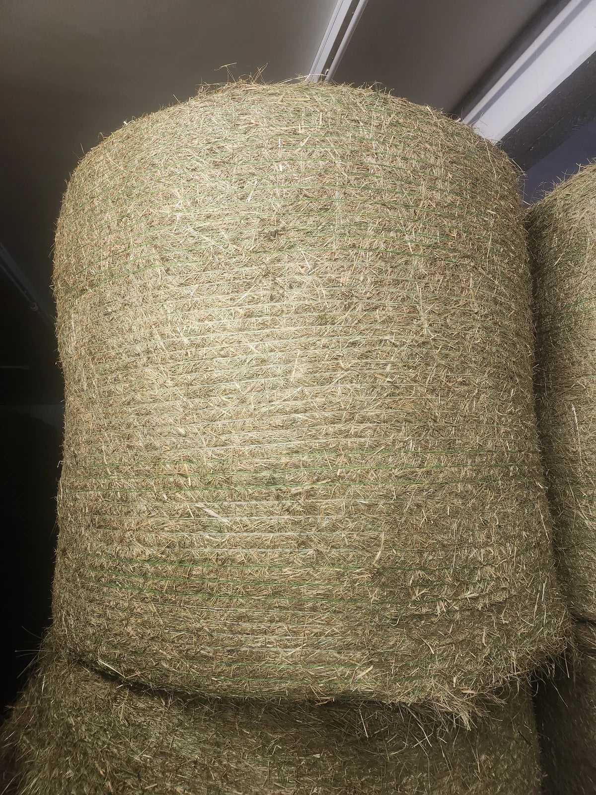 Fardo Redondo de Feno Regional – Colheita 2026 – Ø 135 × 120 cm